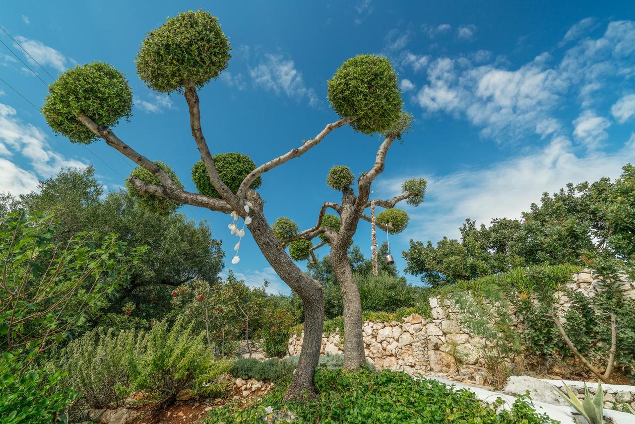 Askos Stone - The Island Panorama * Agios Nikolaos (Zakynthos)